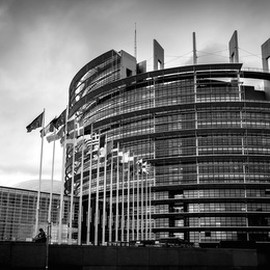 Copertina della news A che cosa serve il Parlamento di Strasburgo